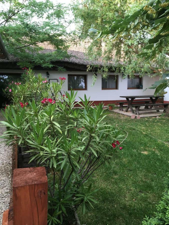 Balatonkenesei Nadfedeles Lovas Vendeghaz Villa Eksteriør bilde
