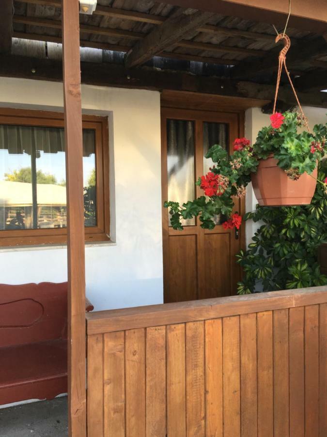 Balatonkenesei Nadfedeles Lovas Vendeghaz Villa Eksteriør bilde