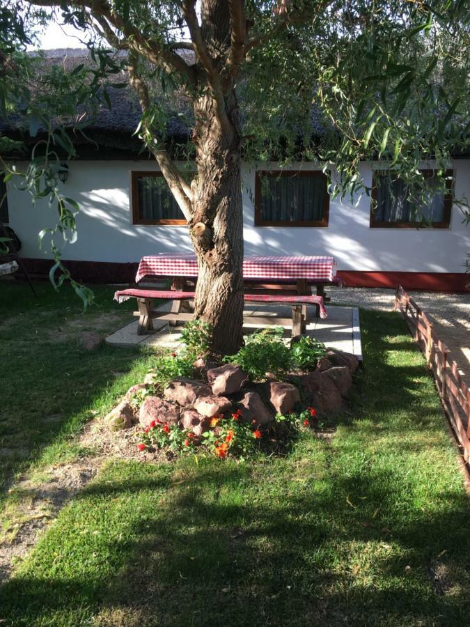 Balatonkenesei Nadfedeles Lovas Vendeghaz Villa Eksteriør bilde